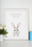 Custom Name Easter Bunny Please Stop Here Name Spring Easter Seasonal Wall Home Decor Print